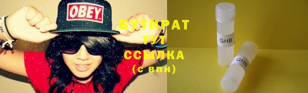 индика Архангельск