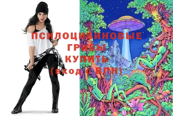 герыч Ладушкин