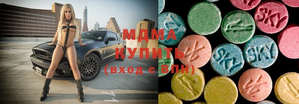 индика Архангельск