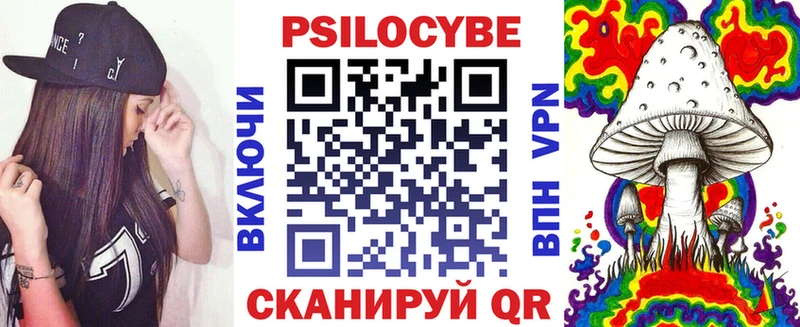 где купить наркоту  Электросталь  Галлюциногенные грибы Psilocybe 