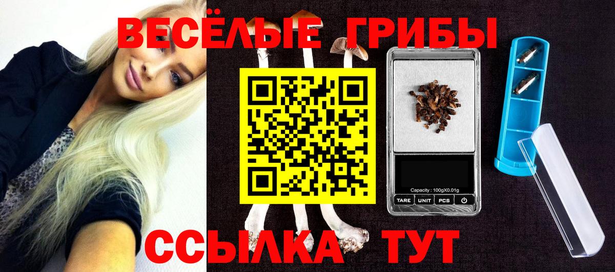 Галлюциногенные грибы ЛСД  Псилоцибиновые грибы прущие грибы  Электросталь  Вход с VPN 